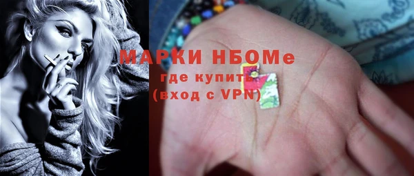 сатива Костерёво