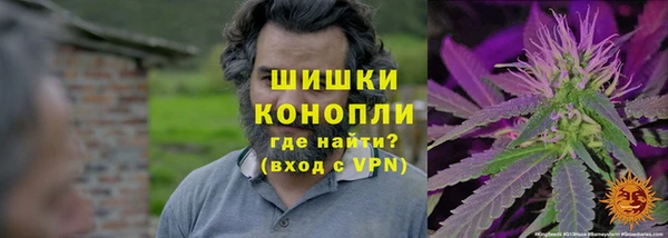 сатива Костерёво