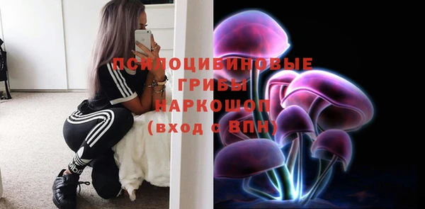 гашик Корсаков