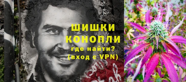 сатива Костерёво
