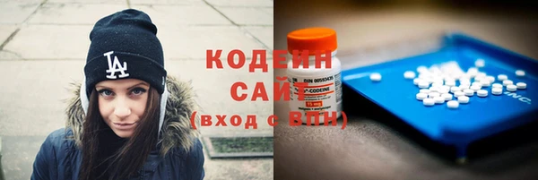 гашик Корсаков