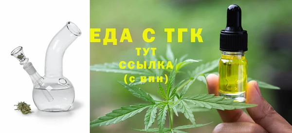 гашик Корсаков