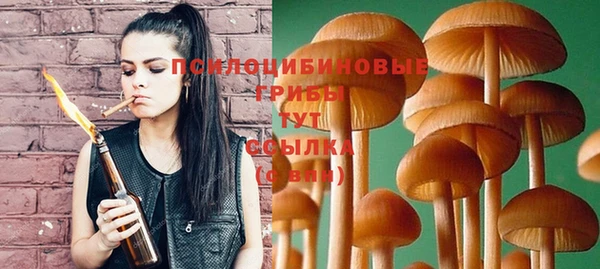 гашик Корсаков