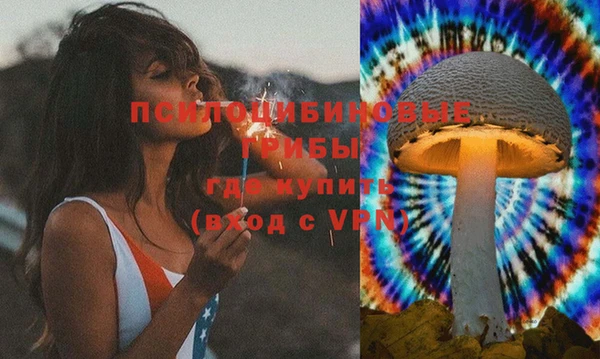 2c-b Богородицк