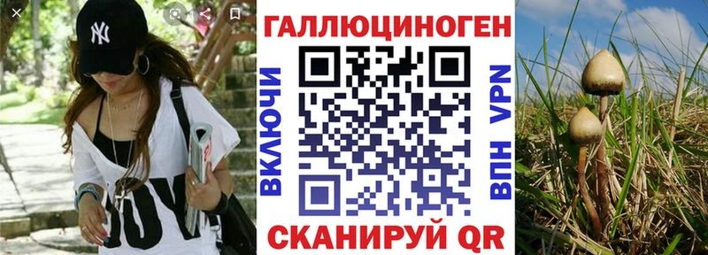 Галлюциногенные грибы MAGIC MUSHROOMS  Обнинск 