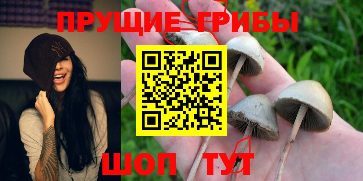 Псилоцибиновые грибы Magic Shrooms Обнинск