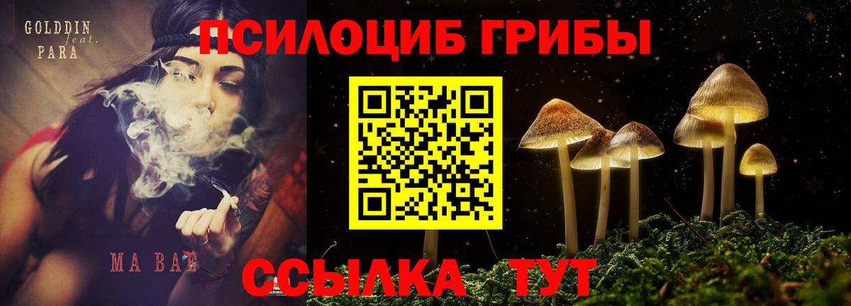 Обнинск  Псилоцибиновые грибы мухоморы  Вход с VPN 